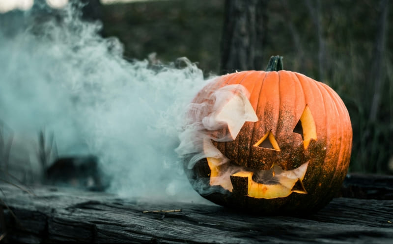 Unsplash và Pexels cung cấp ảnh Halloween nghệ thuật, chân thực. Unsplash và Pexels cung cấp ảnh Halloween nghệ thuật, chân thực.