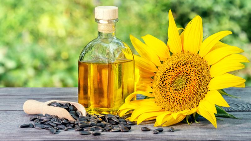 Dầu hướng dương giàu vitamin E và chất béo không bão hòa