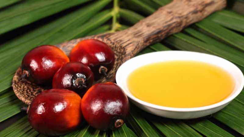 Dầu cọ có điểm sôi cao, thích hợp cho chiên rán ở nhiệt độ cao