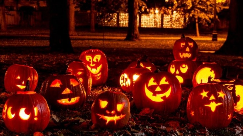 Cam và đen là hai màu sắc chính thức của Halloween