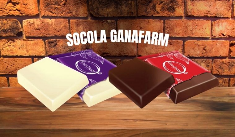 Socola Ganafarm: Review các loại và ứng dụng trong làm bánh