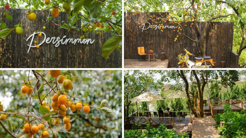 Quán Persimmon Cafe
