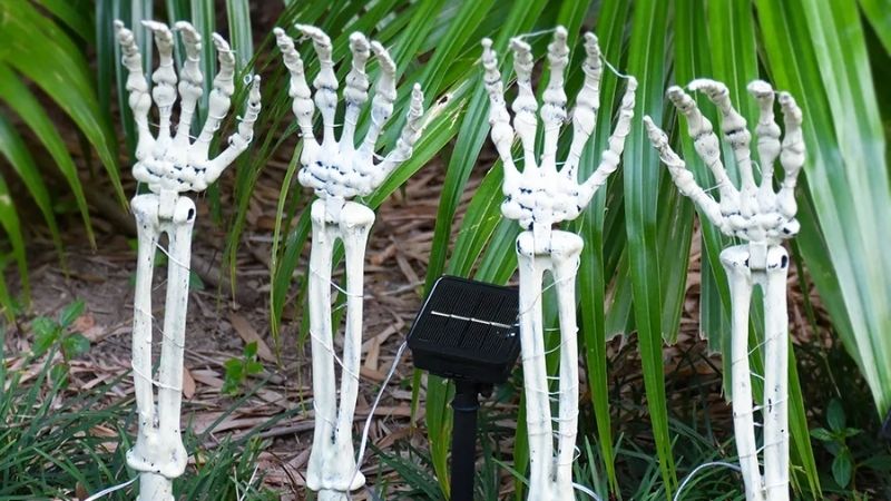 Cánh tay trồi lên từ mặt đất