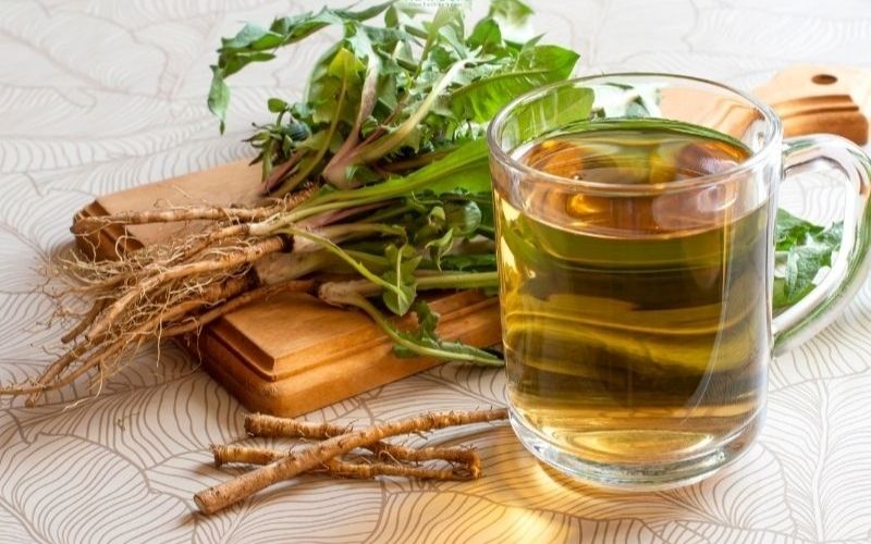 Trà rễ bồ công anh giúp giải độc, lợi tiểu và hỗ trợ gan thận