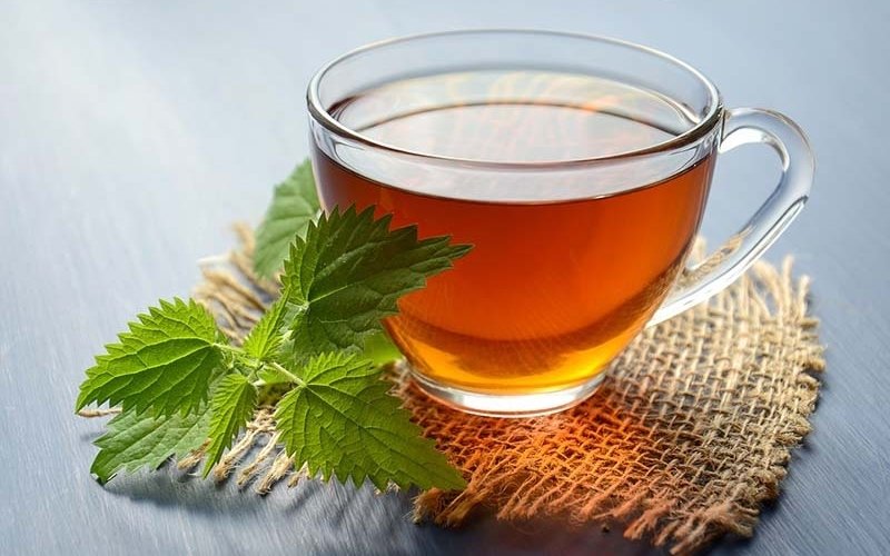 Lá tầm ma giàu vitamin và chất chống oxy hóa, hỗ trợ bảo vệ thận và đường tiết niệu