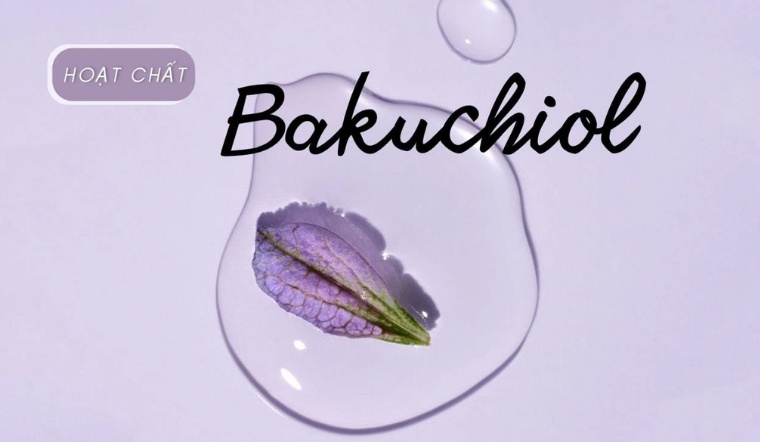 Bakuchiol là gì? Tất tần tật về "Retinol tự nhiên" cho làn da không tuổi