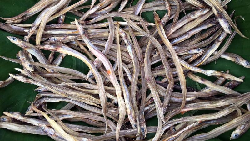 Mẹo chọn khô cá lãi ngon