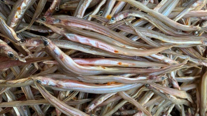 Cách làm khô cá lãi tại nhà