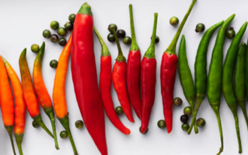 Tiêu và ớt là gia vị nóng, giúp kích thích lưu thông máu và làm ấm bụng nhanh chóng