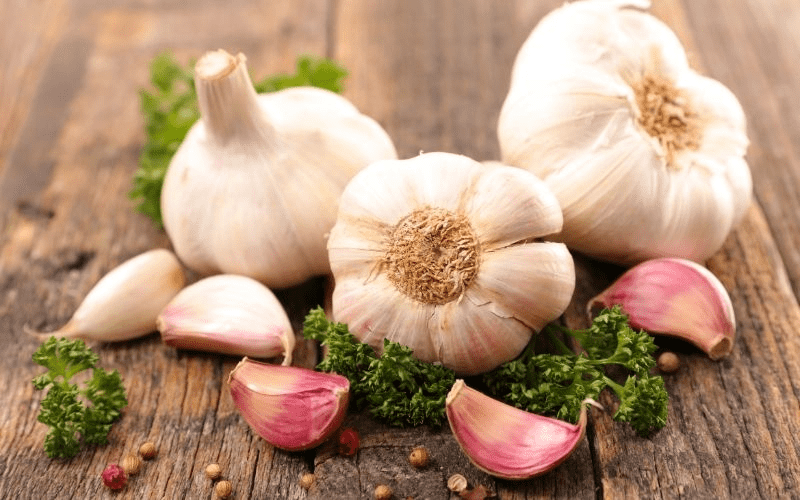 Tỏi chứa allicin, một hợp chất kháng khuẩn mạnh, có tính ấm