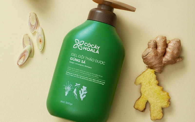 Dầu gội thảo dược này giúp giảm rụng tóc, chăm sóc da đầu.