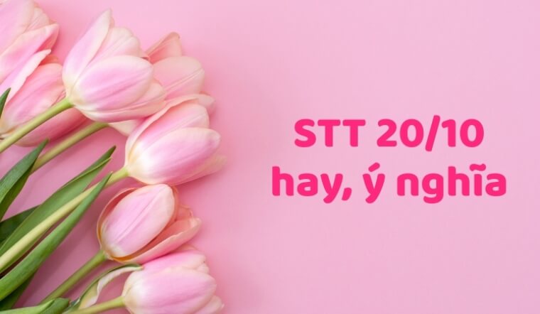Tổng hợp 99+ STT 20/10 hài hước, thả thính, ý nghĩa nhất