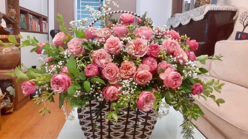 Chủ đề Sắc màu phụ nữ Chủ đề Sắc màu phụ nữ