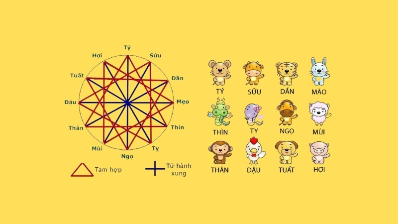 Các nhóm Tứ hành xung