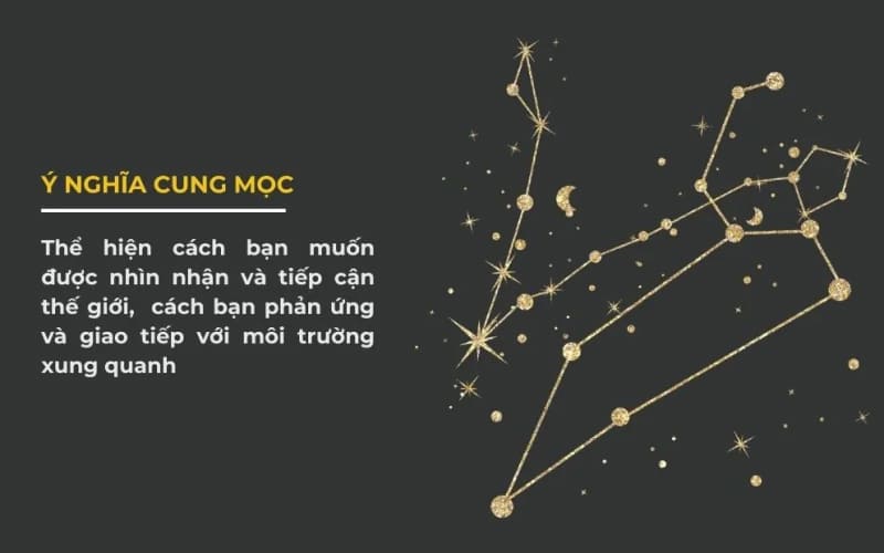 Cung Mọc ảnh hưởng đến ngoại hình, tính cách bề ngoài Cung Mọc ảnh hưởng đến ngoại hình, tính cách bề ngoài