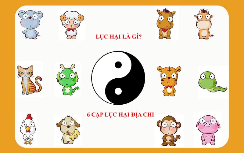 Danh sách 6 cặp tuổi Lục hại trong 12 con giáp