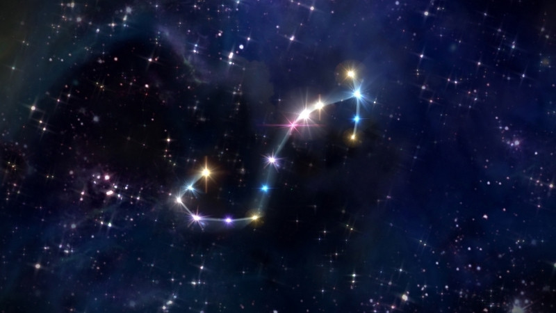 Tố chất lãnh đạo mạnh mẽ, khả năng quyết đoán và sự tập trung cao độ