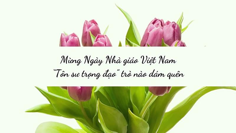 Mẫu background 20/11 có trích dẫn hay số 2 Mẫu background 20/11 có trích dẫn hay số 2