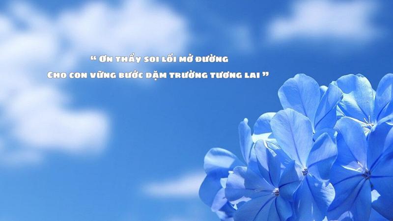 Mẫu background 20/11 có trích dẫn hay số 6 Mẫu background 20/11 có trích dẫn hay số 6