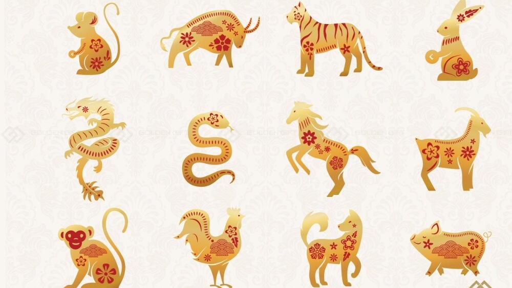 Câu hỏi thường gặp Câu hỏi thường gặp