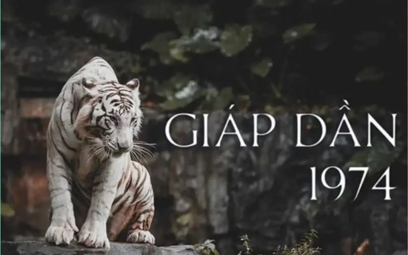 Sự khác biệt giữa người Đại Khê Thủy sinh năm 1974 và 1975 Sự khác biệt giữa người Đại Khê Thủy sinh năm 1974 và 1975