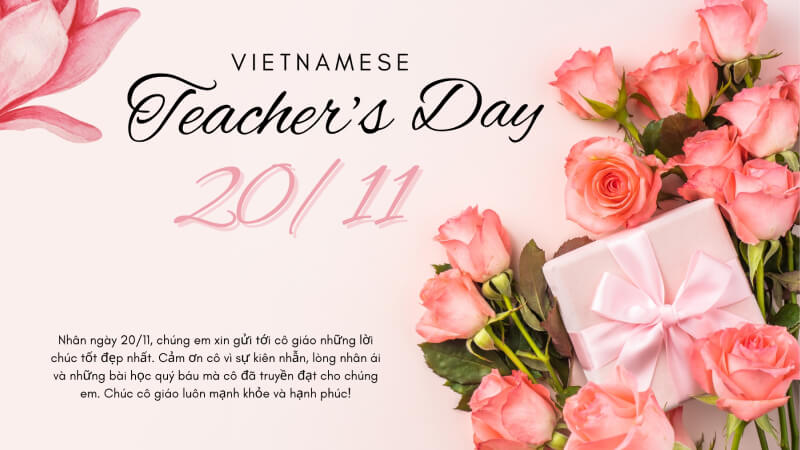 Lời chúc và ảnh hoa 20/11 phù hợp cho cô giáo Lời chúc và ảnh hoa 20/11 phù hợp cho cô giáo