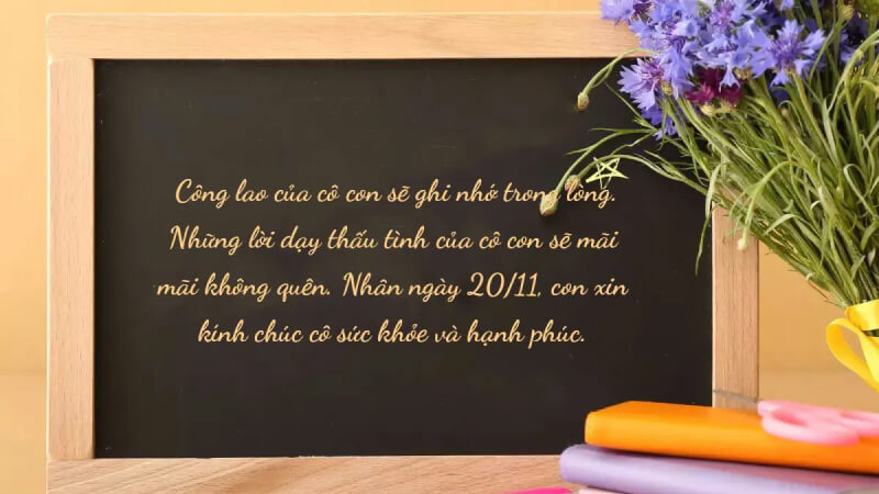 Ảnh lời chúc và hoa cúc tím cho ngày 20/11 Ảnh lời chúc và hoa cúc tím cho ngày 20/11