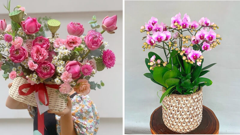 Lẵng hoa sen và hoa lan tặng thầy cô Lẵng hoa sen và hoa lan tặng thầy cô