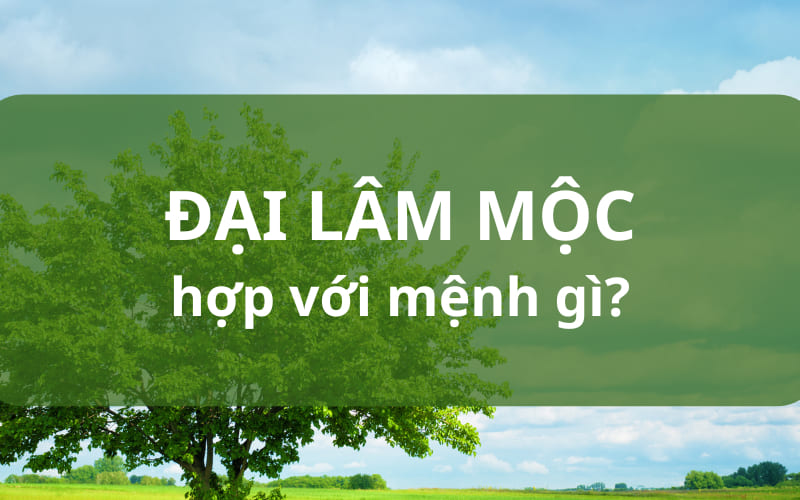 Đại Lâm Mộc hợp và khắc với mệnh nào? Đại Lâm Mộc hợp và khắc với mệnh nào?