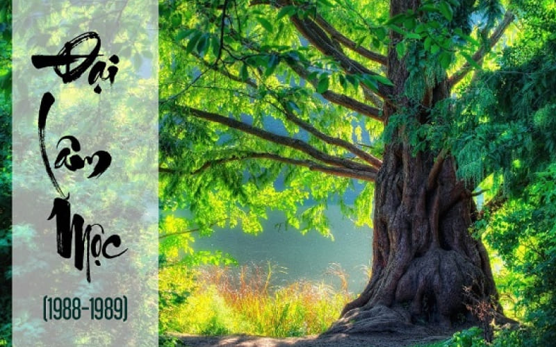 Đại Lâm Mộc sinh năm 1988, 1989 Đại Lâm Mộc sinh năm 1988, 1989