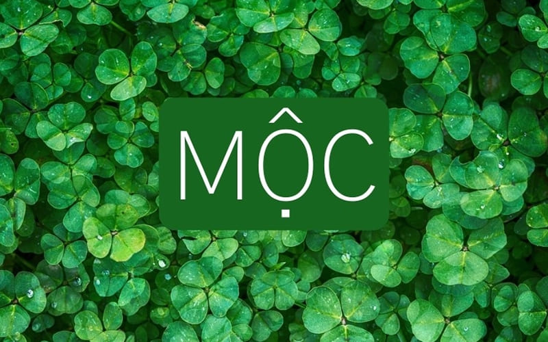 Số may mắn cho người mệnh Đại Lâm Mộc Số may mắn cho người mệnh Đại Lâm Mộc