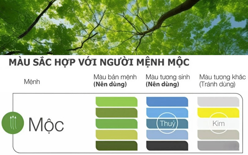 Đại Lâm Mộc hợp màu gì, khắc màu gì? Đại Lâm Mộc hợp màu gì, khắc màu gì?