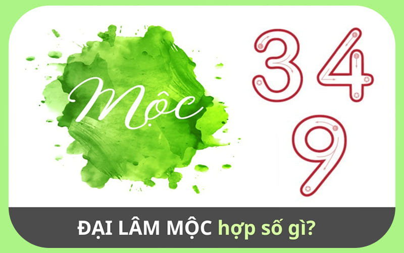 Mệnh Đại Lâm Mộc hợp số gì, kỵ số gì? Mệnh Đại Lâm Mộc hợp số gì, kỵ số gì?
