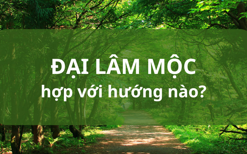 Người mệnh Đại Lâm Mộc hợp hướng nào, kỵ hướng nào? Người mệnh Đại Lâm Mộc hợp hướng nào, kỵ hướng nào?