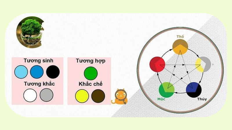Tang Đố Mộc hợp màu gì, khắc màu gì? Tang Đố Mộc hợp màu gì, khắc màu gì?