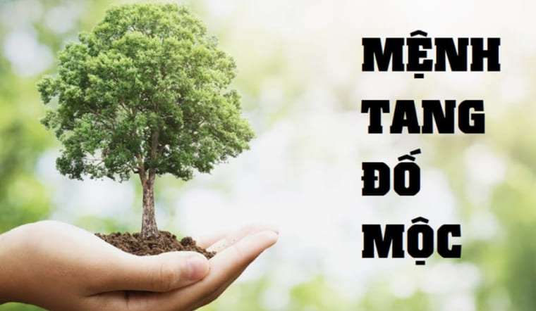 Mệnh Tang Đố Mộc là gì? Người mệnh Tang Đố Mộc có vận mệnh ra sao?