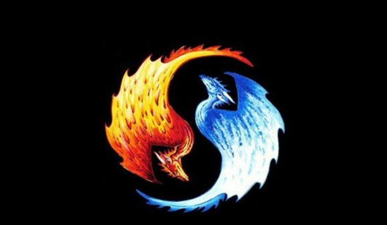 Tương hình là gì? Giải mã Tự hình, Nhị hình, Tam hình trong 12 con giáp