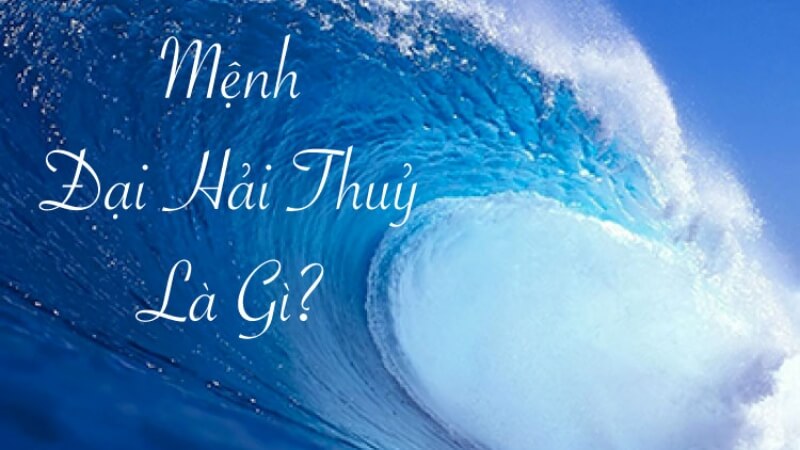 Đại Hải Thủy sinh năm bao nhiêu? Đại Hải Thủy sinh năm bao nhiêu?