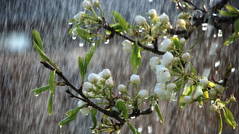 Thiên Hà Thủy là một nạp âm của hành Thủy Thiên Hà Thủy là một nạp âm của hành Thủy