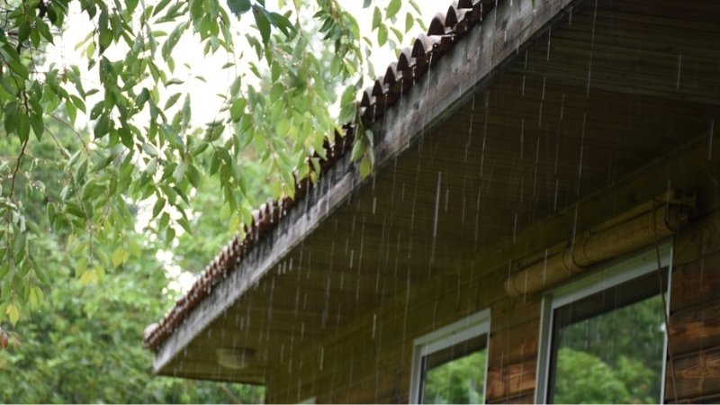 Nước mưa đại diện cho sự tinh khiết và khởi nguồn Nước mưa đại diện cho sự tinh khiết và khởi nguồn