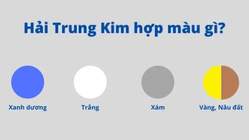 Hải Trung Kim hợp với màu gì Hải Trung Kim hợp với màu gì