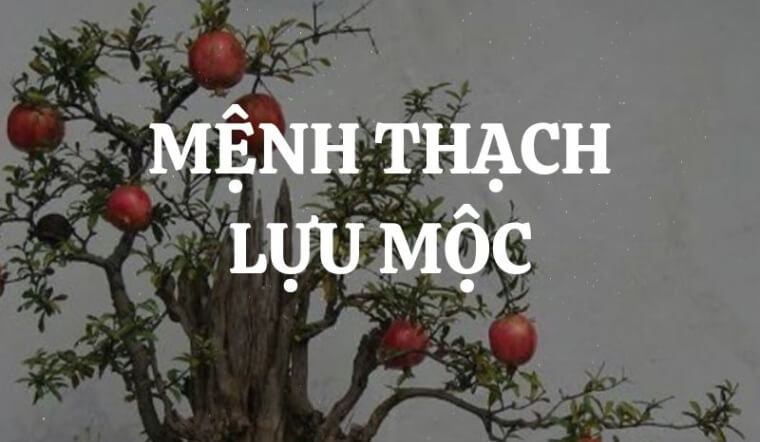 Thạch Lựu Mộc nghĩa là gì? Thạch Lựu Mộc sinh năm bao nhiêu?