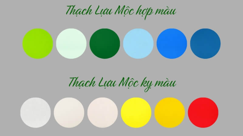 Thạch Lựu Mộc hợp màu gì, khắc màu gì? Thạch Lựu Mộc hợp màu gì, khắc màu gì?