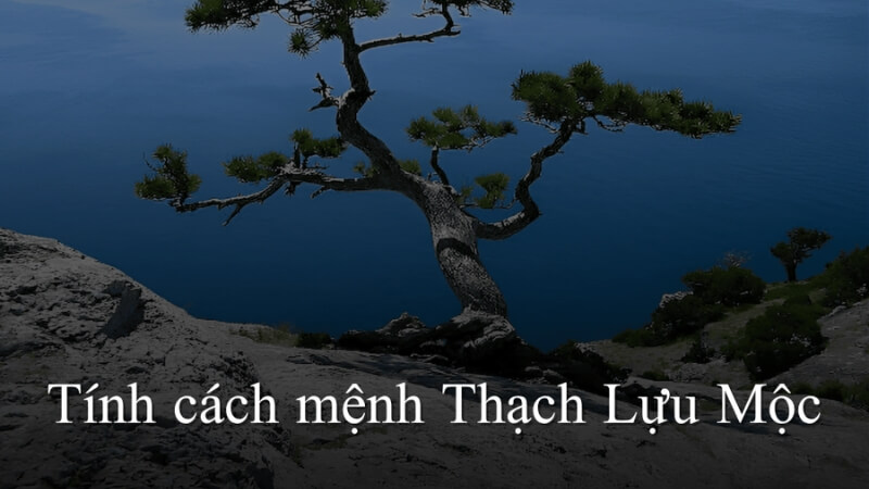 Tính cách người mệnh Thạch Lựu Mộc Tính cách người mệnh Thạch Lựu Mộc