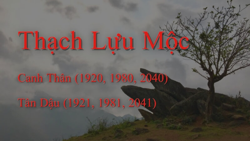 Thạch Lựu Mộc sinh năm bao nhiêu? Thạch Lựu Mộc sinh năm bao nhiêu?