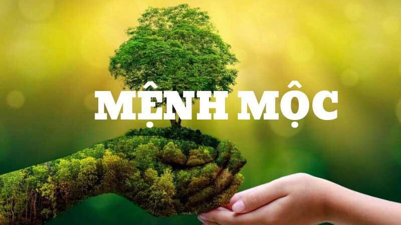Sơn Đầu Hỏa hợp mệnh gì? Sơn Đầu Hỏa hợp mệnh gì?