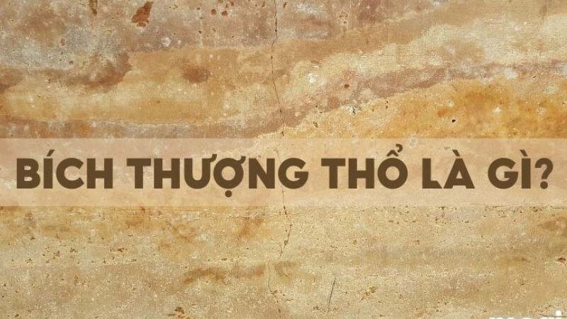 Mệnh Bích Thượng Thổ là gì Mệnh Bích Thượng Thổ là gì