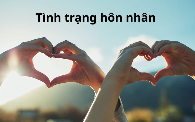 Tình trạng hôn nhân là thông tin pháp lý ghi nhận bạn đang độc thân Tình trạng hôn nhân là thông tin pháp lý ghi nhận bạn đang độc thân