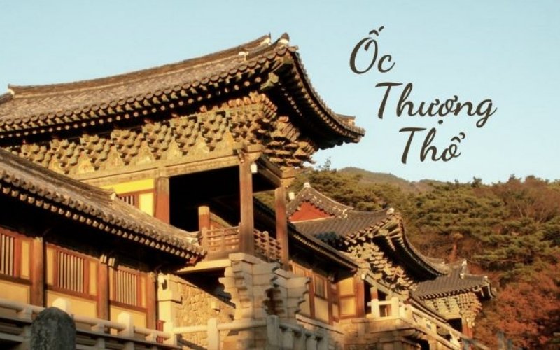 Kết hợp đúng mệnh giúp Sa Trung Thổ tăng vận khí và thuận lợi Kết hợp đúng mệnh giúp Sa Trung Thổ tăng vận khí và thuận lợi