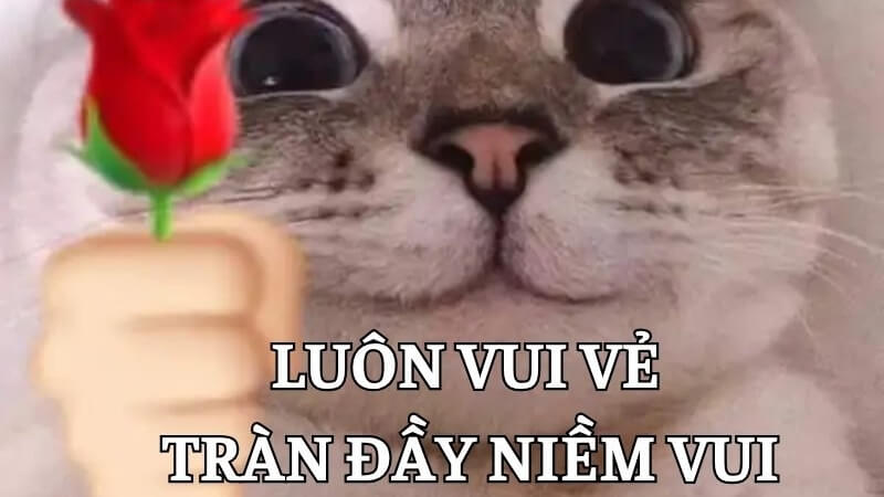 Meme 20/10 troll bạn bè, đồng nghiệp 4